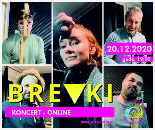 BREVKI - koncert online