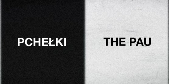 Koncert: Pchełki + The Pau / klub "u Bulka"