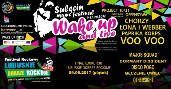 Wyniki głosowania internautów - Lubuskie Dobrze Rockuje