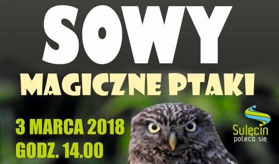 Sowy - magiczne ptaki / 03.03.2018