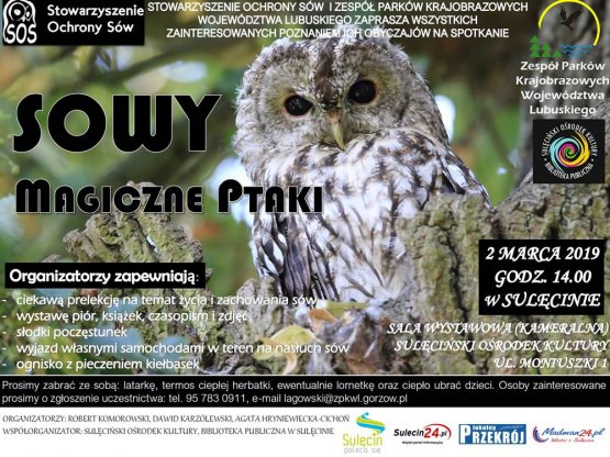Sowy - magiczne ptaki / 02.03.2019 r.