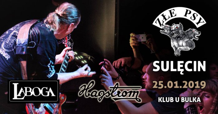Andrzej Nowak i Złe Psy / Klub u Bulka / 25.01.2019 r