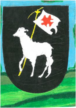 Kamil Kowalski, lat 15