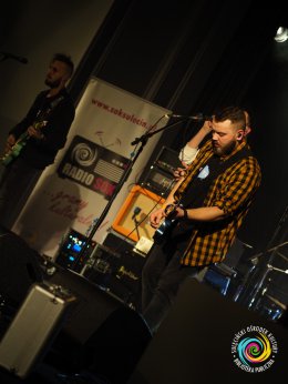 Sala widowiskowa, koncert - występ na scenie Żółta Febra