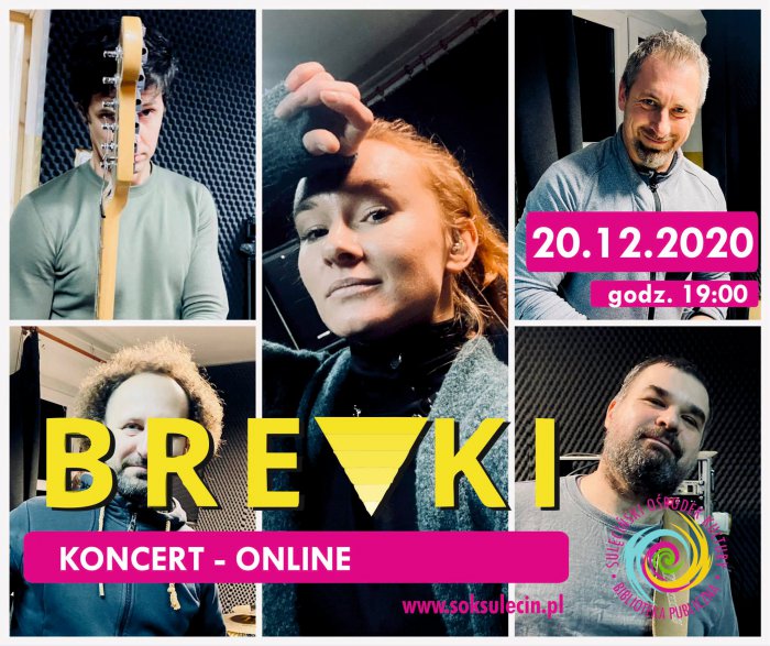 BREVKI - koncert online