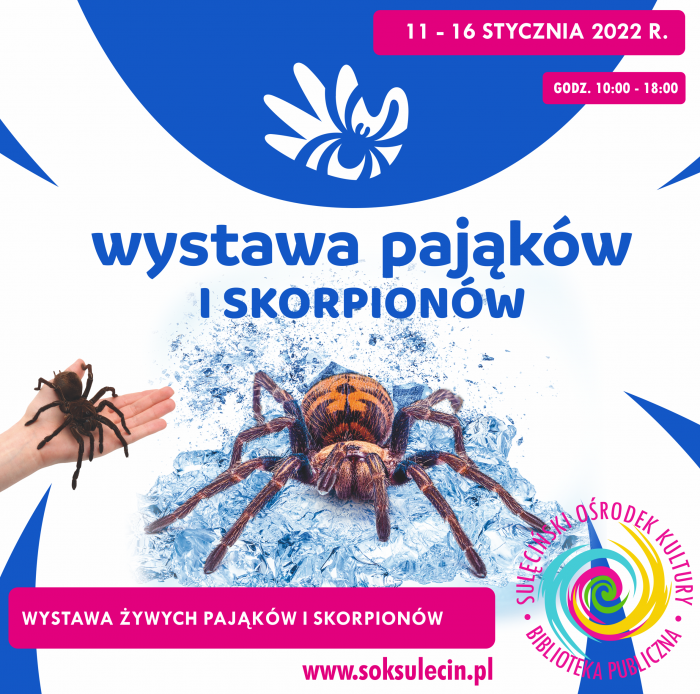 Otwarcie wystawy pająków i skorpionów (do 16.01.2022r.)
